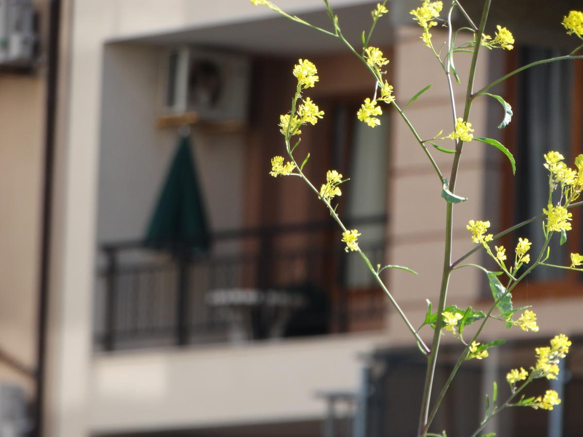 Lora Boutique Apartamento Pomorie Exterior foto